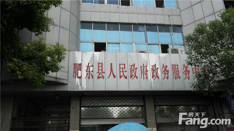 肥东县人民政府办公室最新发展规划概览