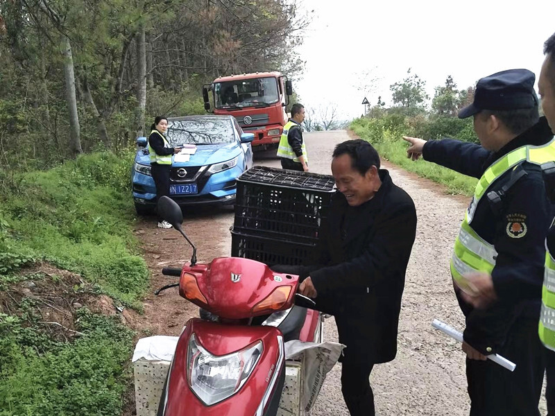 南坪岗乡交通新动态，迈向现代化交通体系的关键步伐